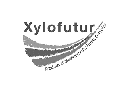 XYLOFUTUR