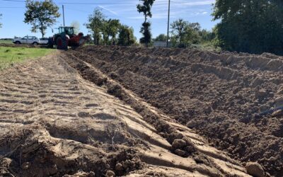 Création de billons et talus pour plantation de haies bocagères