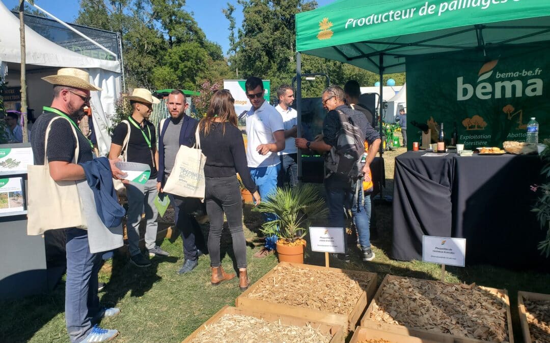 salonvert stand béma