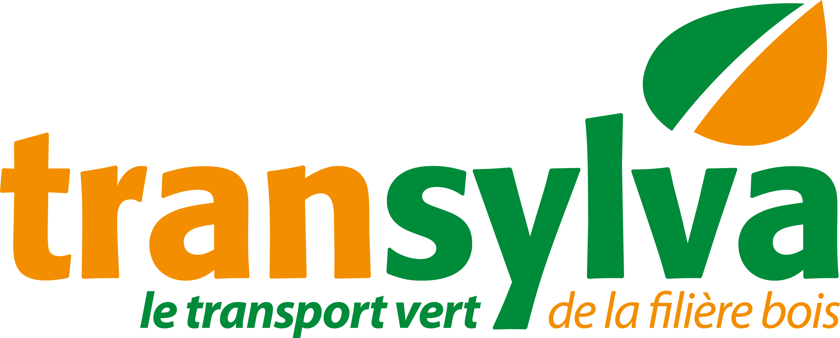 logo transylva