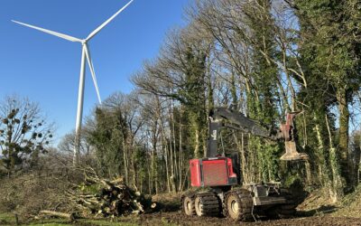 BEMA producteur engagé dans la préservation du bocage