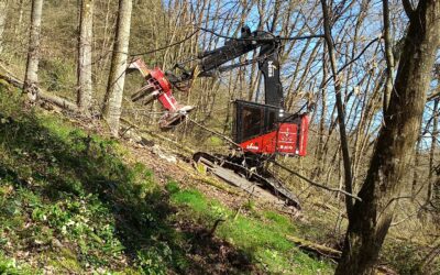 Exploitation forestière mécanisée dans une parcelle en terrain pentu